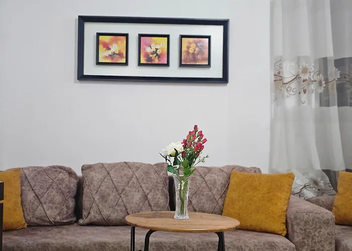 Bral 4 Daire Dıraç